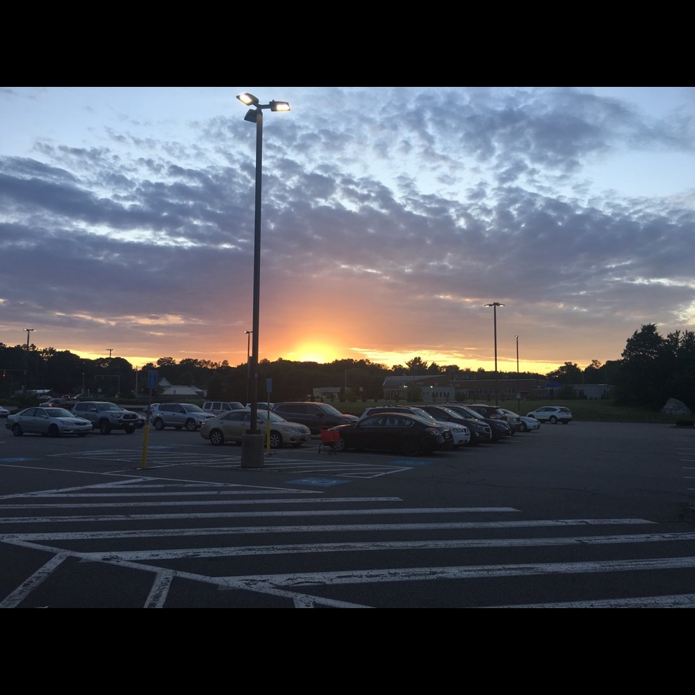 Meet your Posher, Ella